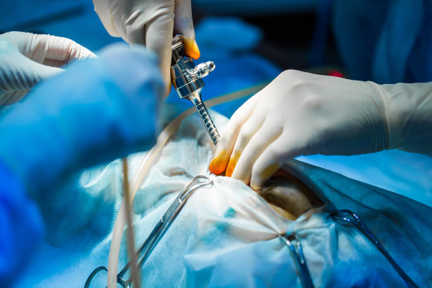 兽医在手术室用艺术照明进行腹腔镜手术。图片下载