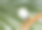 特写镜头。木制梳子，头发梳与护发素的头发和个人护理的背景。头发护理概念。图片下载