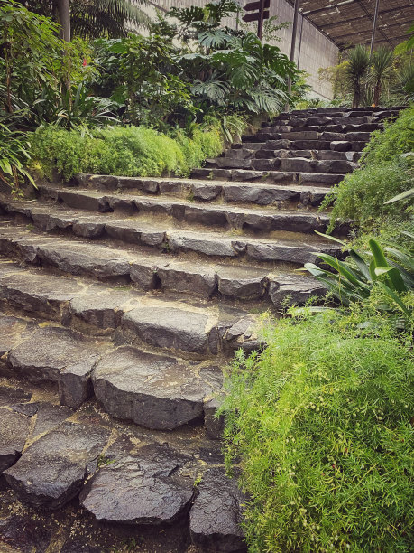 葡萄牙里斯本的植物园图片下载