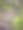 葡萄牙里斯本的植物园图片下载