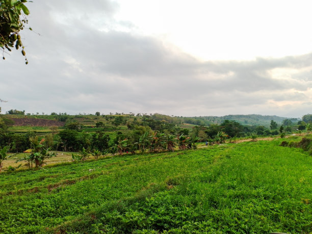 山上的风景图片下载