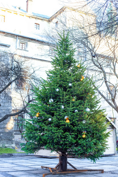 圣诞树在城市街道的金属架子上。传统的节日城镇装饰与照明冷杉植物图片下载
