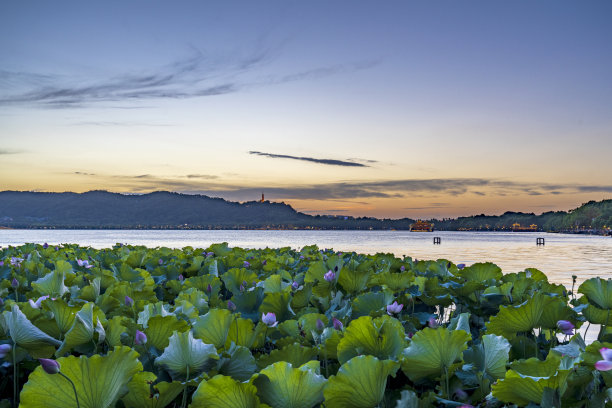 中国浙江省杭州市西湖夜景图片下载
