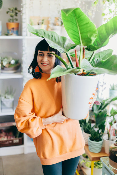 花店里有一株绿色大植物的女人图片下载