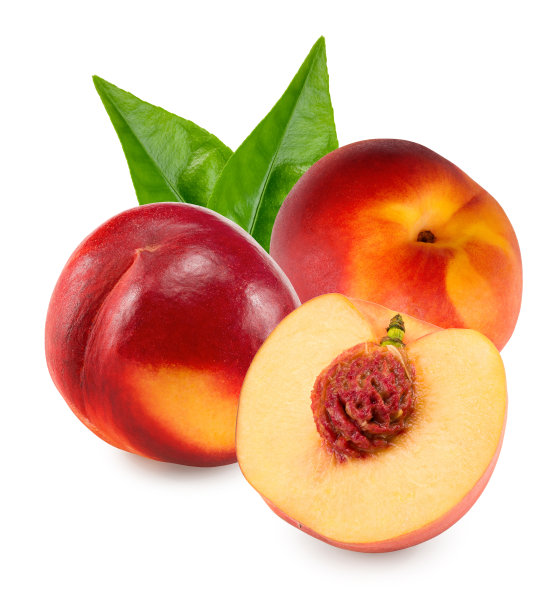 白色背景上单叶油桃。剪切路径图片下载