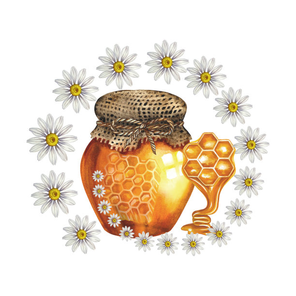 蜂蜜和甘菊。水彩插图。为设计解决方案，美容，制药和食品行业图片下载