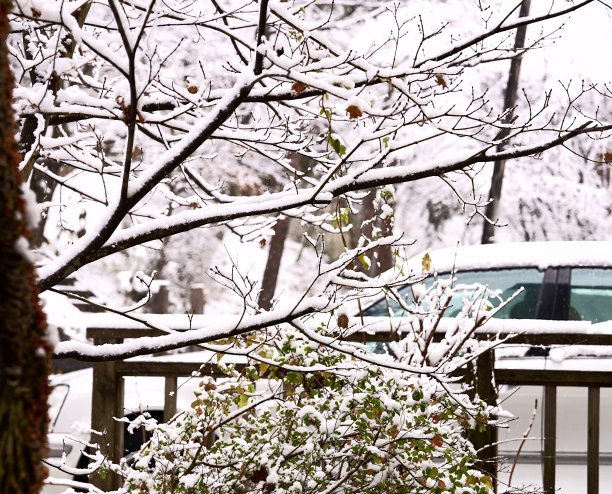 我别墅二楼的窗户上的雪景。图片下载