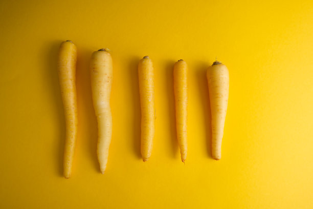 黄色的胡萝卜平行排列在黄色背景的顶视图复制空间上图片下载