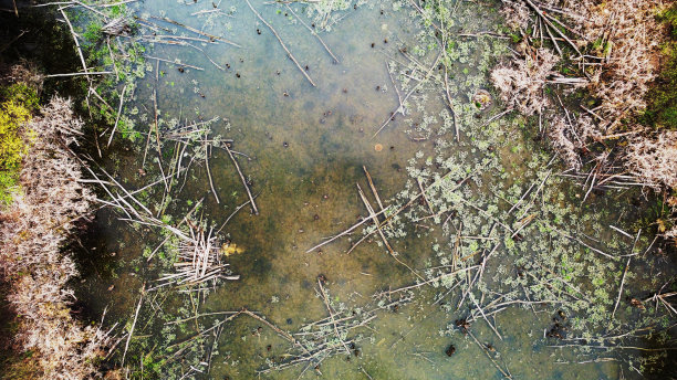 湖泊和周围的景观，公园区域，森林，绿色，美丽的自然景观，无人机照片图片下载