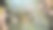 湖泊和周围的景观，公园区域，森林，绿色，美丽的自然景观，无人机照片图片下载