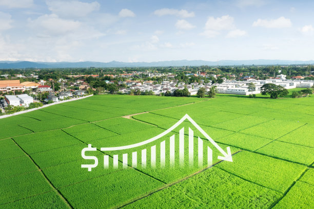 土地价值鸟瞰图。图片下载