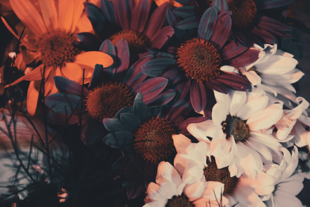 婚礼花束在秋季色调的复古和秋季婚礼的概念图片下载