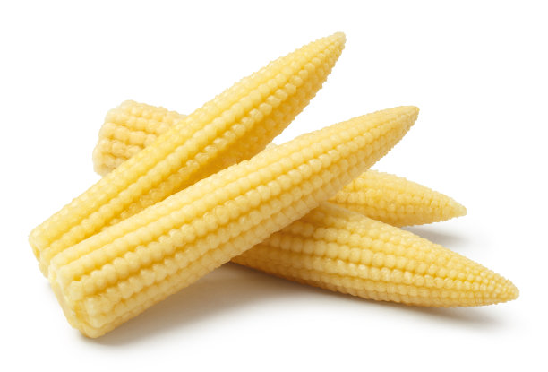 美味的白色小玉米图片下载