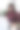 有魅力的中年女性坐在桌子旁，用笔记本电脑工作。图片下载