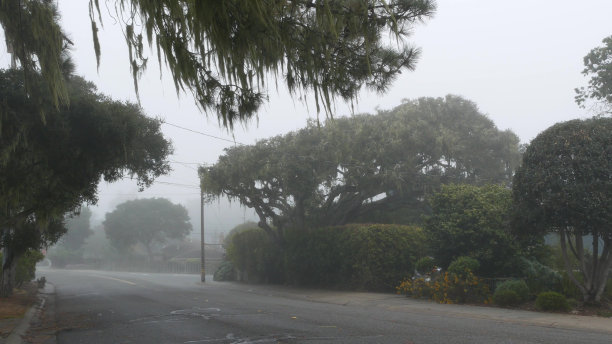 郊区住宅区街道，雾蒙蒙的道路，阴雨天气，加州图片下载