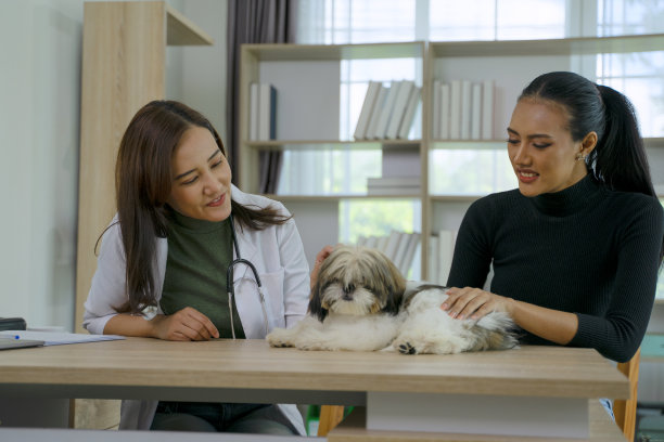 一个女人带着她的狗去看兽医。图片下载