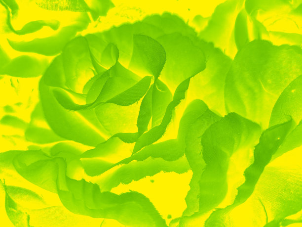 美丽的抽象绿色花朵在黄色的背景，黄色的花框架，绿叶纹理，绿色的背景，黑暗的主题，绿叶纹理，圣诞节和情人节的鲜花庆祝活动图片下载