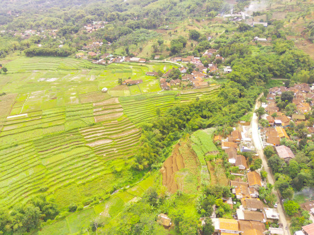 居民区周围农业用地的鸟瞰图图片下载