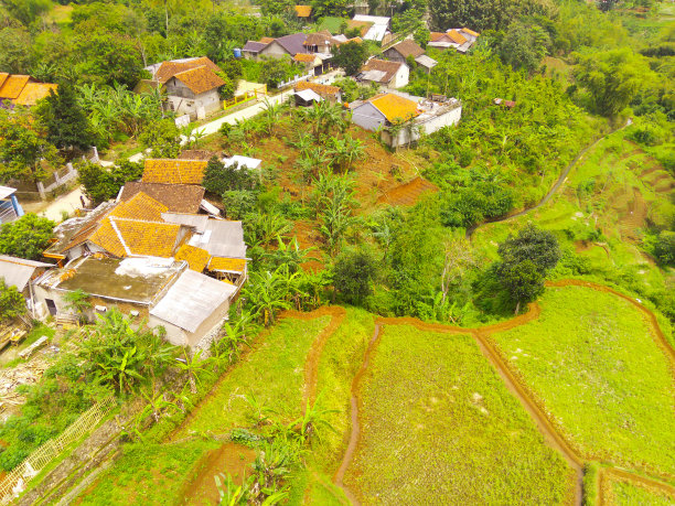 居民区周围农业用地的鸟瞰图图片下载