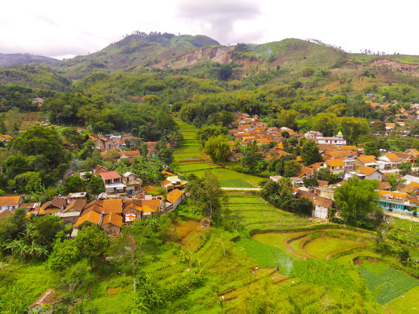 居民区周围农业用地的鸟瞰图图片下载