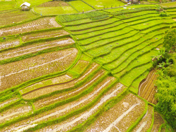 居民区周围农业用地的鸟瞰图图片下载