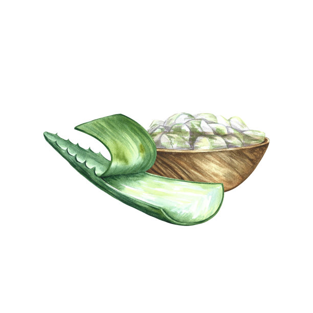 芦荟与木碗剥芦荟片。水彩插图。标签和包装图片下载