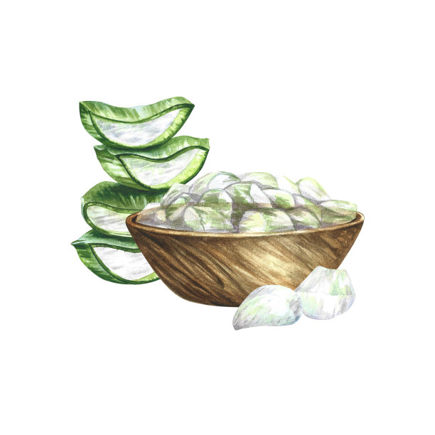 芦荟去皮，切碎，放在木碗里。水彩插图。用于化妆品的标签和包装图片下载