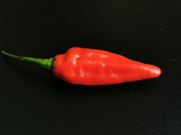 黑色底色的印尼红辣椒(辣椒)图片下载
