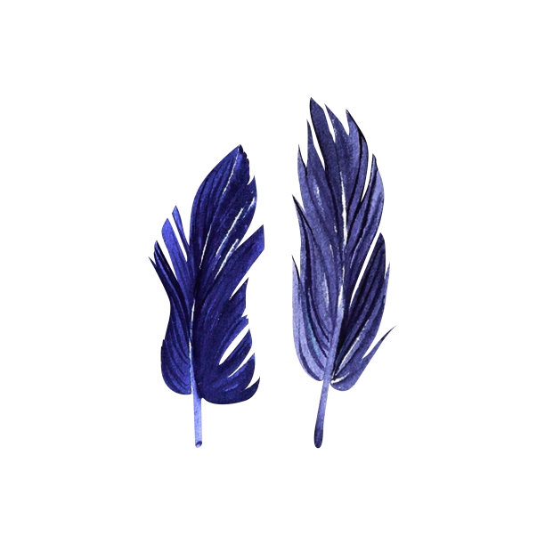 紫色羽毛水彩孤立的白色背景，手绘。完美的卡片设计，邀请，剪贴簿，织物印刷。图片下载