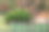 澳大利亚有红色盖子的垃圾筒在居民楼附近的街道上排成一排，供市政垃圾收集。图片下载