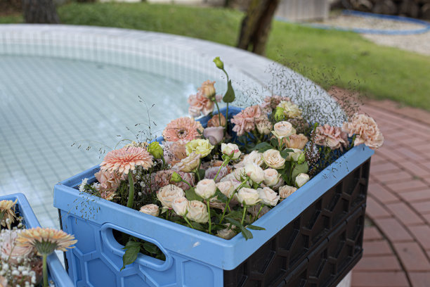 户外塑料盒里的鲜花图片下载
