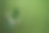 玻璃垃圾单独收集。可回收玻璃废料的绿色草地背景。图片下载