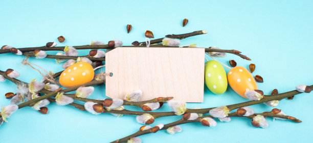 复活节节日问候，小彩蛋，树枝上的柳枝和空白的标签，春天的季节图片下载