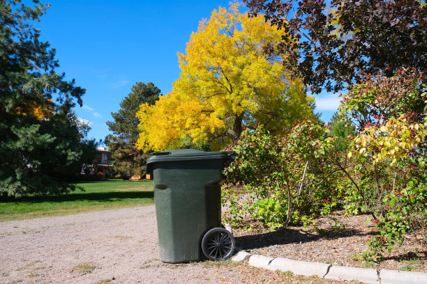 城市市区公园徒步小径边的绿色户外垃圾桶，金黄色秋树下，秋季景观背景照片与复制空间图片下载