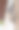 一只暹罗猫躺在他房子的窗台上。图片下载