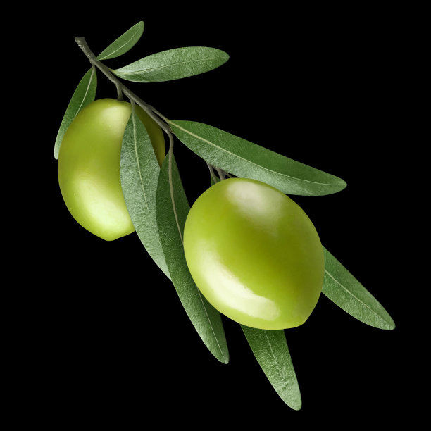 美味的橄榄枝在黑色图片下载