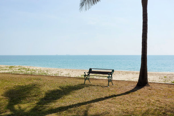 海滩椰子树下的空板凳图片下载