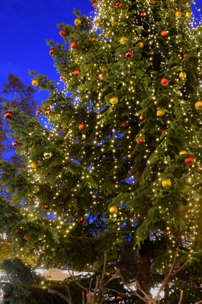 圣诞树图片下载