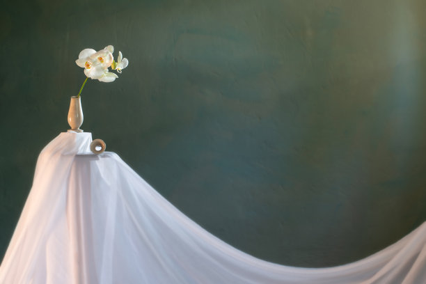 墨绿色墙壁上白色兰花破碎的花瓶图片下载