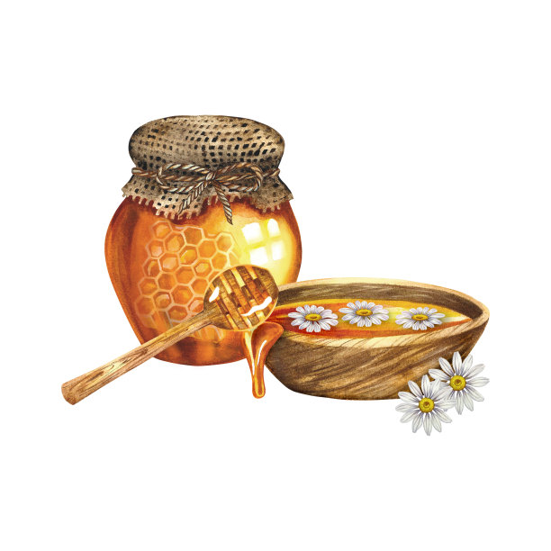 蜂蜜和甘菊。水彩插图。为设计解决方案，美容，制药和食品行业。图片下载