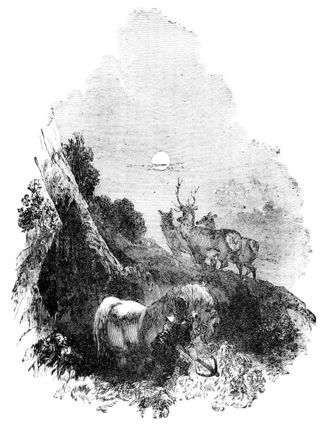 猎鹿人与弩图片下载