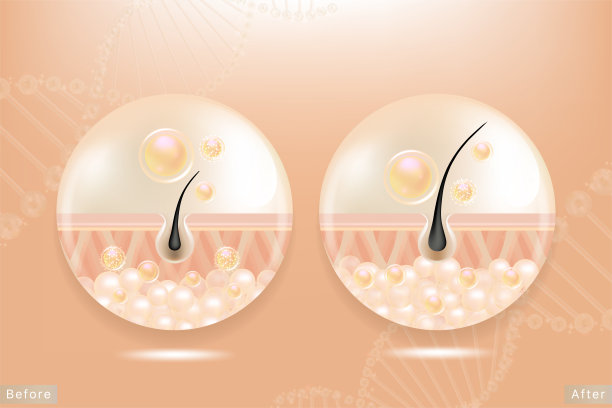 透明质酸前后头发和皮肤解决方案广告，奶油胶原蛋白血清滴在皮肤细胞与化妆品广告背景准备使用，插图载体。图片下载
