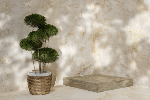 摘要三维渲染场景和自然的讲台背景，立方体岩石讲台上的大理石地板和灌木在篮子锅与光的产品展示广告化妆品美容产品等图片下载