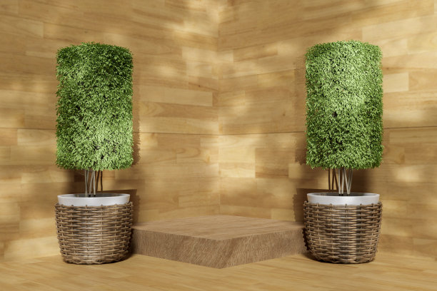 摘要三维渲染场景和自然的讲台背景，立方体木讲台上的木地板和灌木在篮子锅与光的产品展示广告化妆品美容产品等图片下载