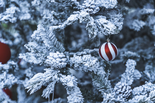 圣诞快乐，近距离彩色球，礼盒和圣诞祝福图片包裹，在白色雪绿色圣诞树背景装饰圣诞节和新年。图片下载