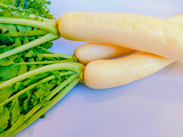 白萝卜毛利白萝卜宫崎白萝卜冬萝卜大根紫根东方萝卜长白萝卜蔬菜食品特写查看图像照片图片下载