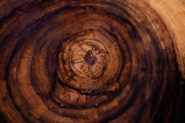 抽象木材纹理为背景，宏观视图图片下载