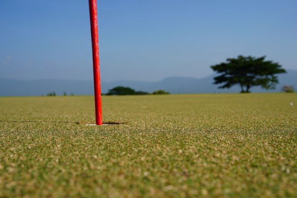 靠近高尔夫球场洞的绿色草地图片下载