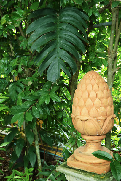 美丽的绿色花园与松果石最终图片下载