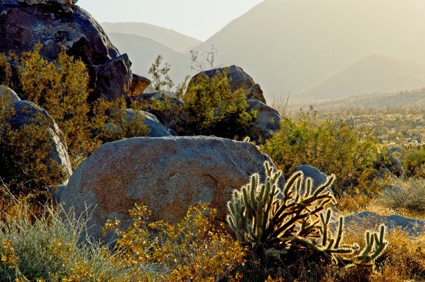 加州南部的安扎·博雷戈沙漠州立公园距离人口稠密的加州海岸不远，提供了一种荒野沙漠的体验图片下载
